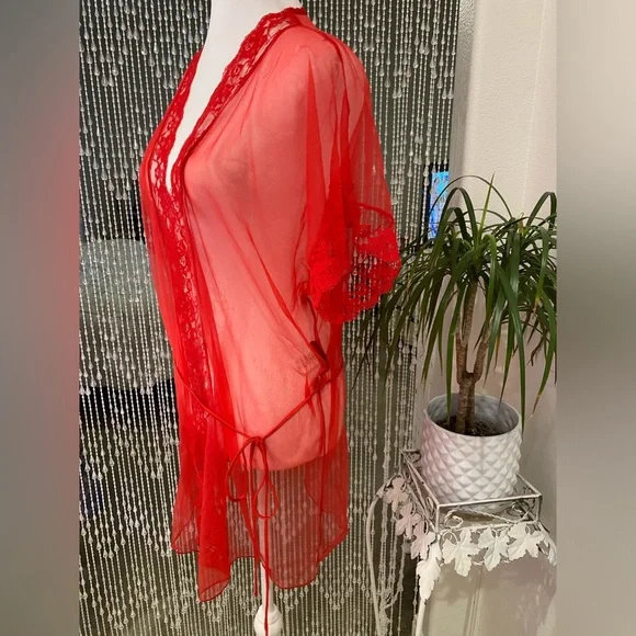 VINTAGE SHEER PEIGNOIR - Picture 3 of 6
